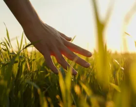 Yeşil Bir Yaşam Tarzına Geçmene Yardımcı Olacak Teknolojiler