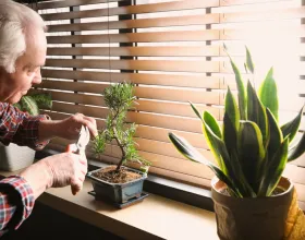 Kendi Küçük Zen Bahçeni Oluşturma: Evde Minyatür Bir Huzur Köşesi Yaratmanın Yolları