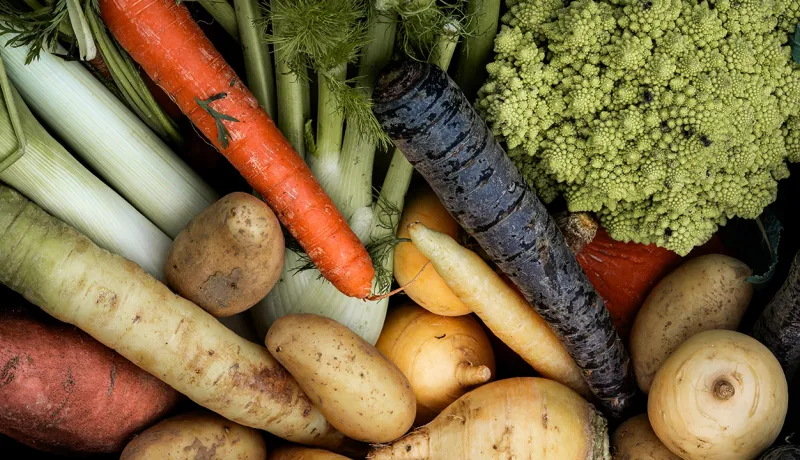 Mutfakta İsrafı Bitiriyoruz: Atıksız Yemek Tarifleri