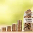 Finansal Özgürlüğünü Sağlamak İstersen Bunları Yapmalısın