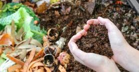 Kompost Nedir ve Nasıl Yapılır?