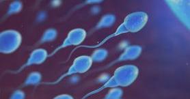 Sperm Sayısını Artıracak Beslenme Tüyoları